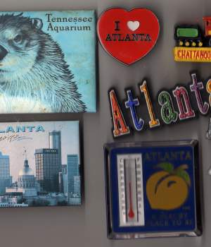 Magnets animal