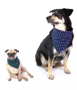 Bandanas