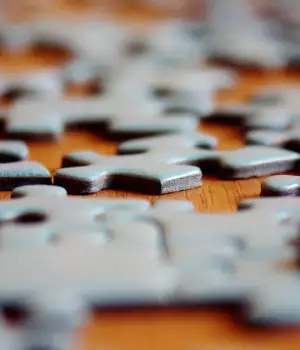 Puzzles animal